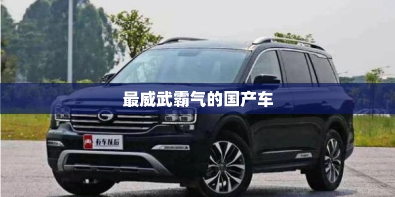 最威武霸气的国产车