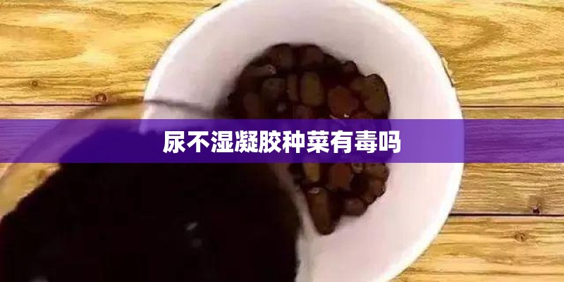 尿不湿凝胶种菜有毒吗