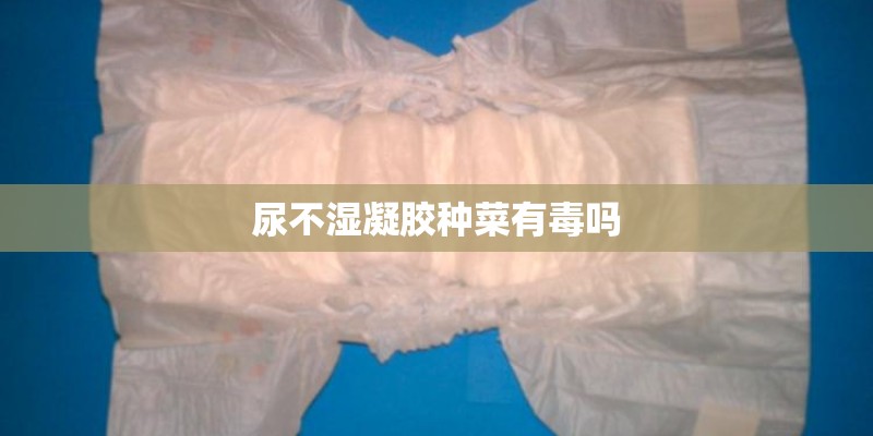 尿不湿凝胶种菜有毒吗