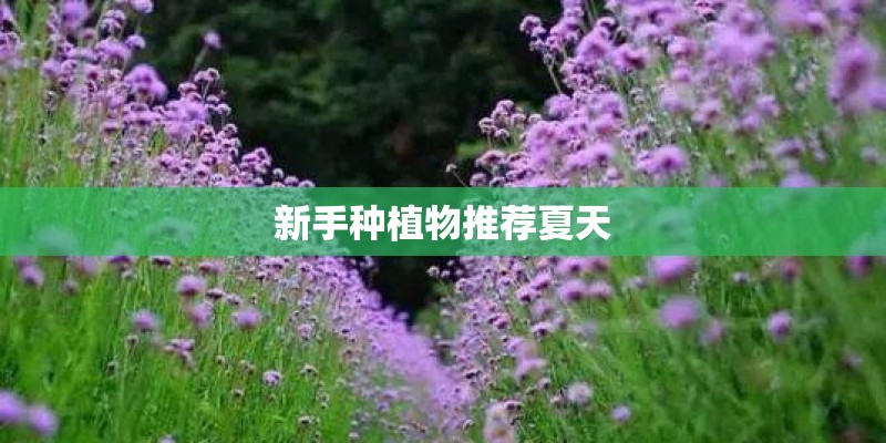 为什么这两年库存积压越来越严重？