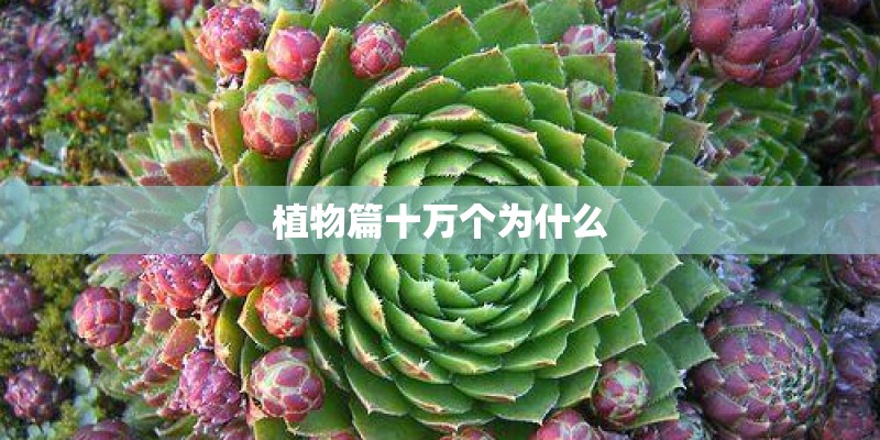 植物篇十万个为什么