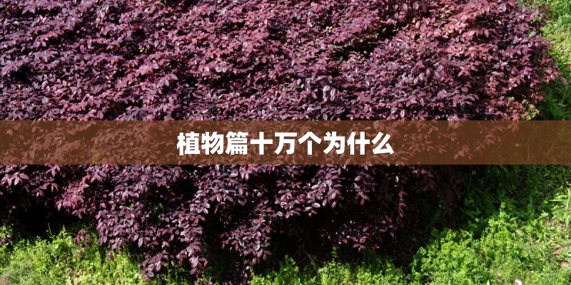 植物篇十万个为什么