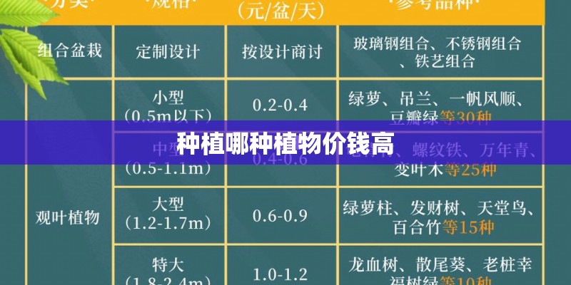 种植哪种植物价钱高