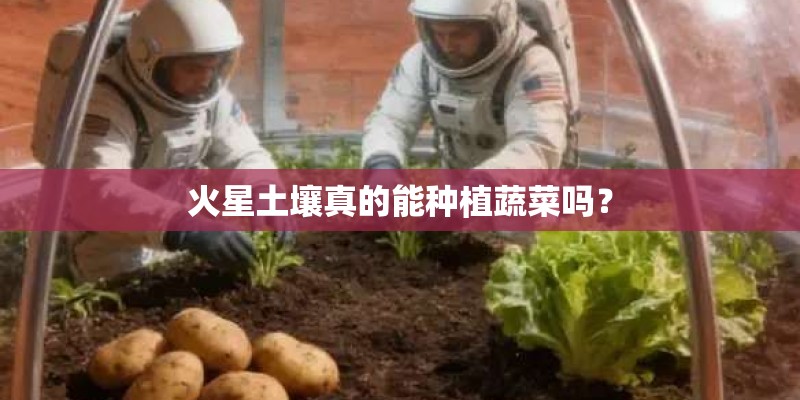 火星土壤真的能种植蔬菜吗？