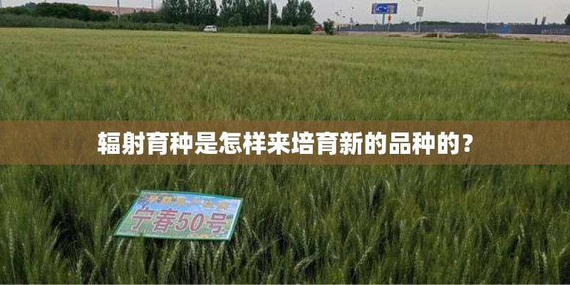 辐射育种是怎样来培育新的品种的？