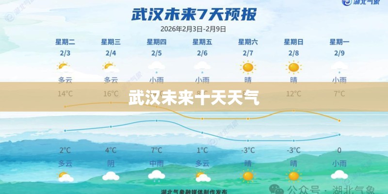 武汉未来十天天气
