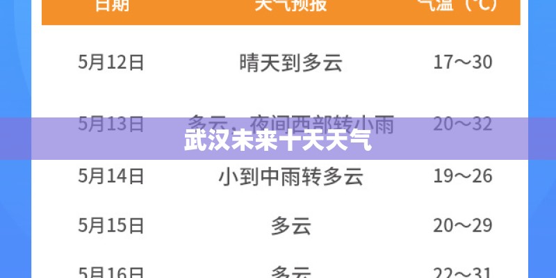 武汉未来十天天气