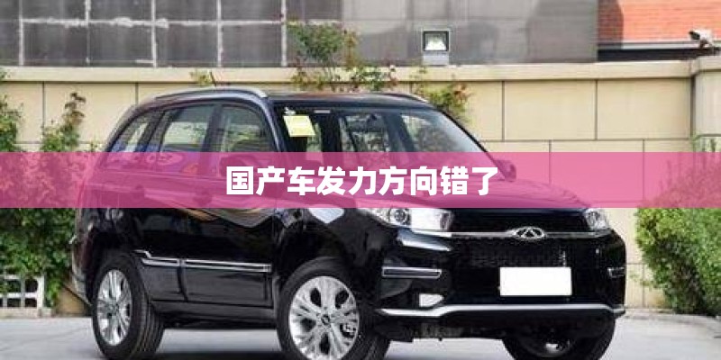 国产车发力方向错了