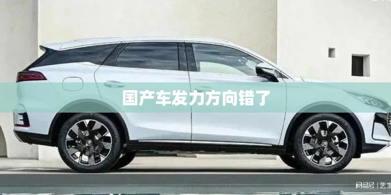 国产车发力方向错了