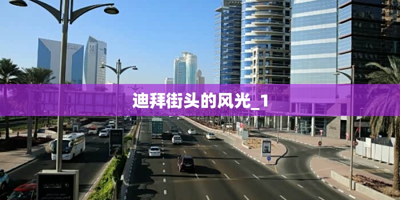 迪拜街头的风光_1