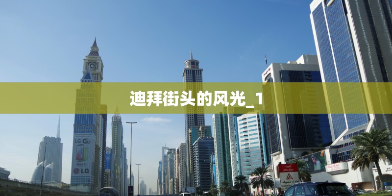迪拜街头的风光_1