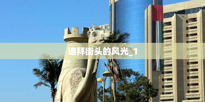 迪拜街头的风光_1