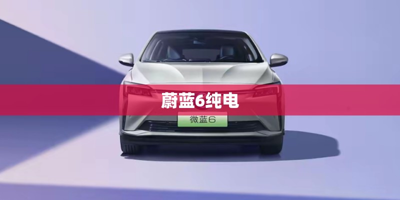 蔚蓝6纯电