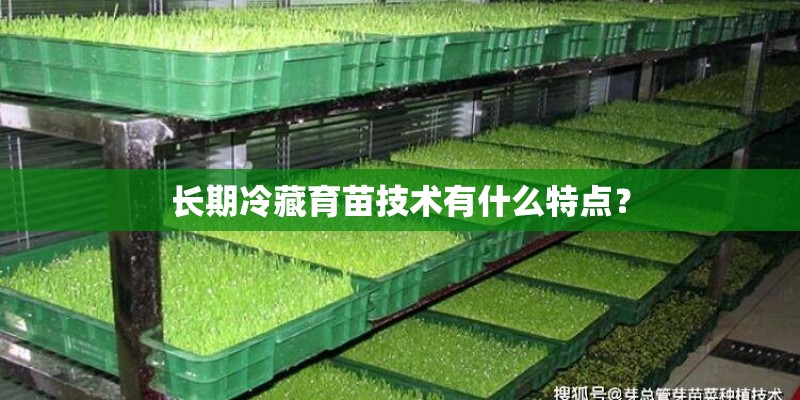 长期冷藏育苗技术有什么特点？