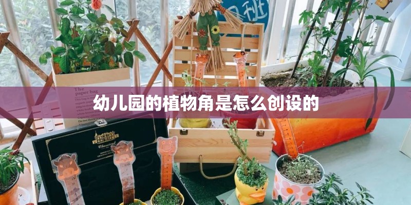 幼儿园的植物角是怎么创设的