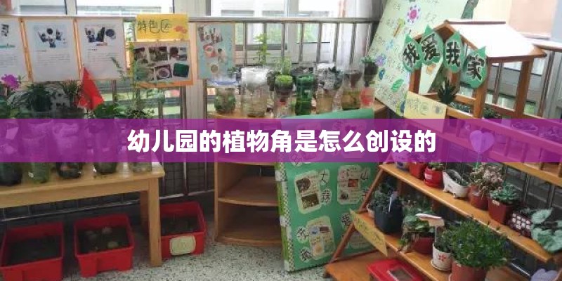 幼儿园的植物角是怎么创设的