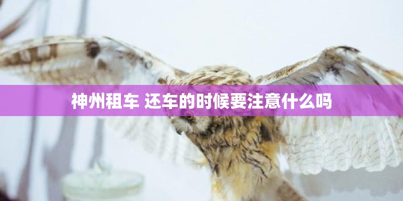 神州租车 还车的时候要注意什么吗