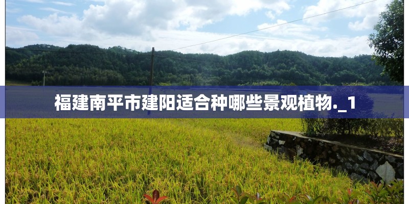 福建南平市建阳适合种哪些景观植物._1