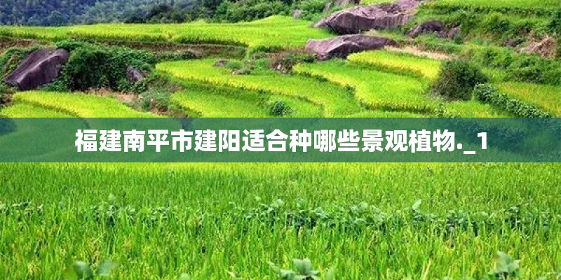 福建南平市建阳适合种哪些景观植物._1