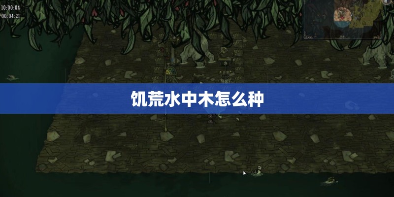 饥荒水中木怎么种