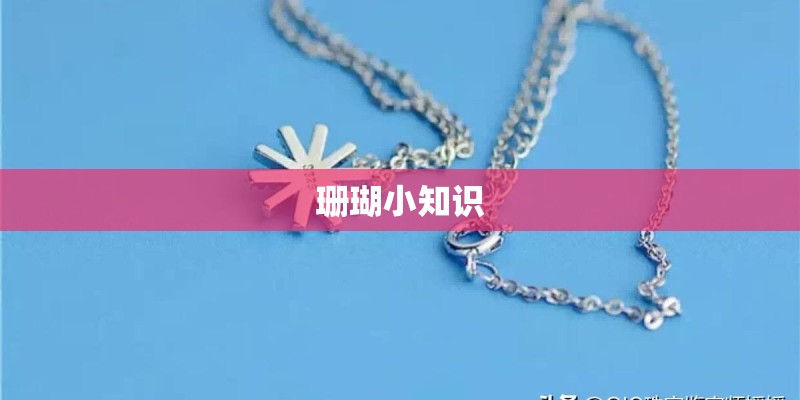 珊瑚小知识
