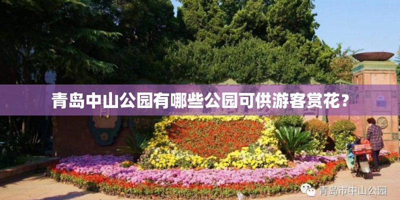 青岛中山公园有哪些公园可供游客赏花？