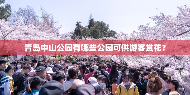 青岛中山公园有哪些公园可供游客赏花？