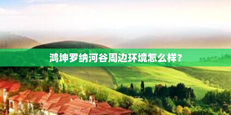 鸿坤罗纳河谷周边环境怎么样？