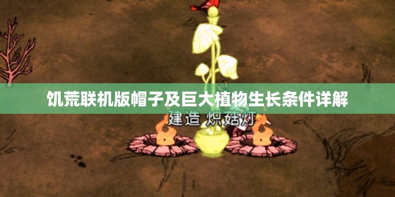 饥荒联机版帽子及巨大植物生长条件详解