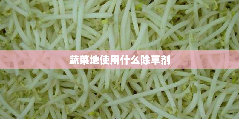 蔬菜地使用什么除草剂