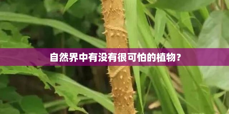 自然界中有没有很可怕的植物？