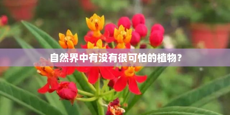 自然界中有没有很可怕的植物？