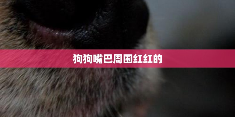 狗狗嘴巴周围红红的