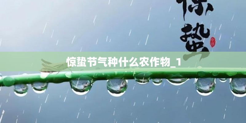 惊蛰节气种什么农作物_1