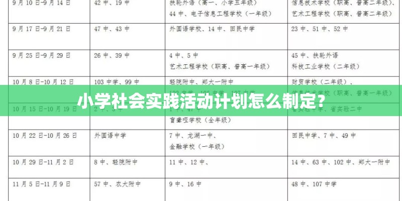 小学社会实践活动计划怎么制定？