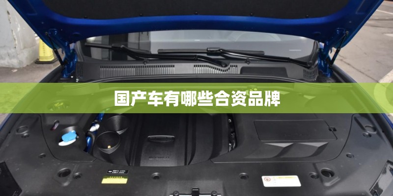 国产车有哪些合资品牌