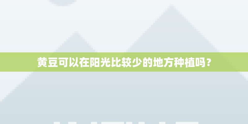 黄豆可以在阳光比较少的地方种植吗？