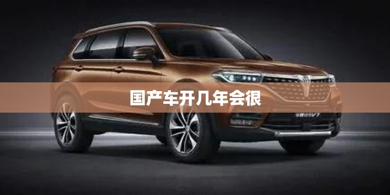 国产车开几年会很