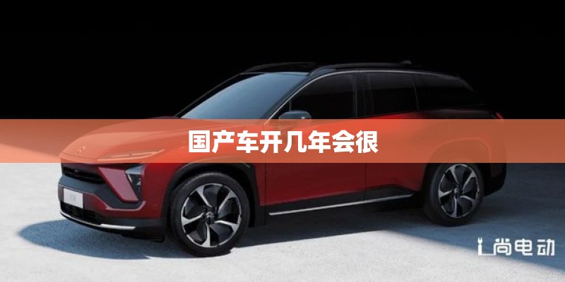 国产车开几年会很