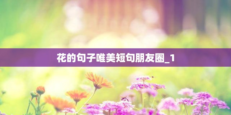 花的句子唯美短句朋友圈_1