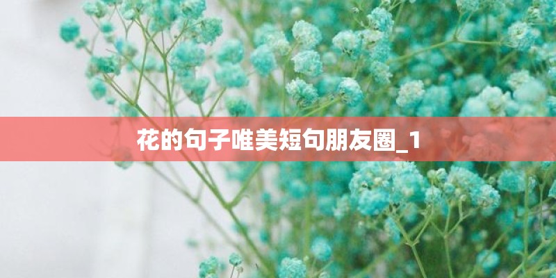 花的句子唯美短句朋友圈_1