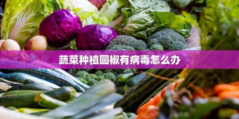 蔬菜种植圆椒有病毒怎么办