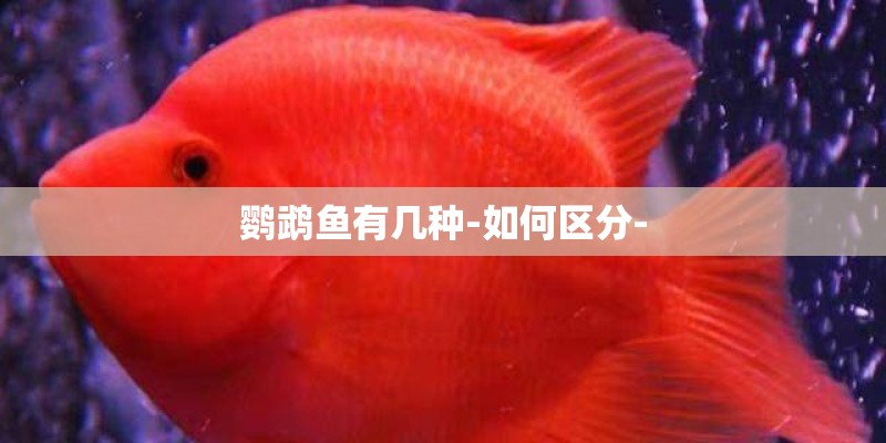 一块桃酥相当于几碗米饭-