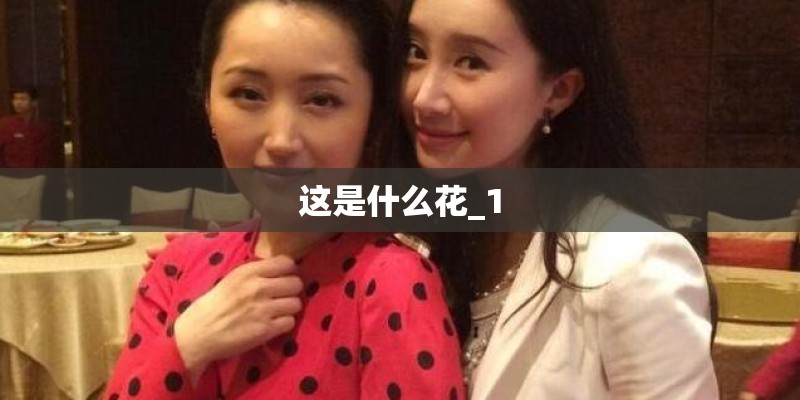 这是什么花_1