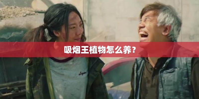 吸烟王植物怎么养？