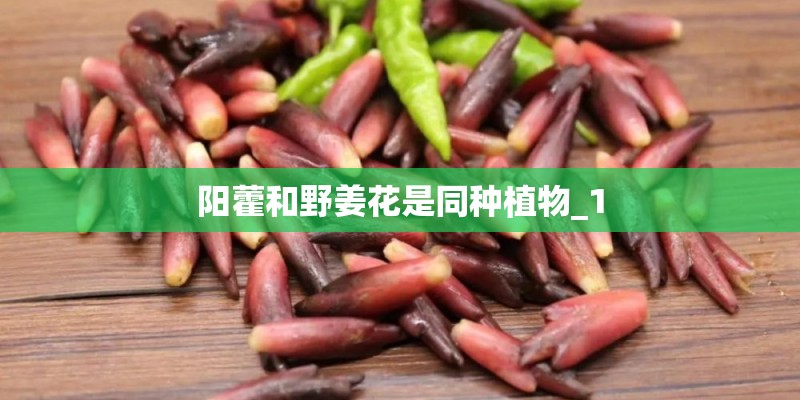 阳藿和野姜花是同种植物_1