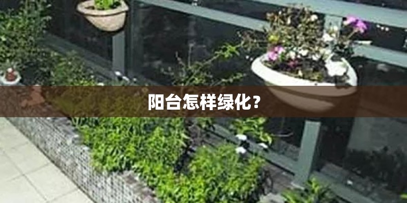 阳台怎样绿化？