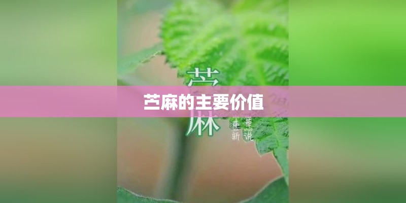 苎麻的主要价值 苎麻的主要价值