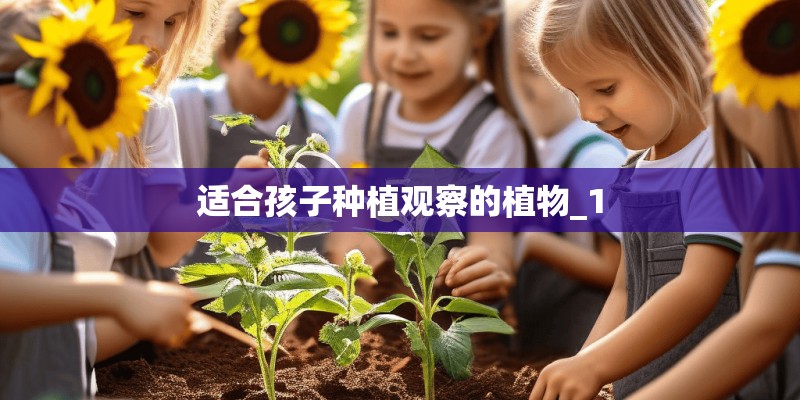 适合孩子种植观察的植物_1