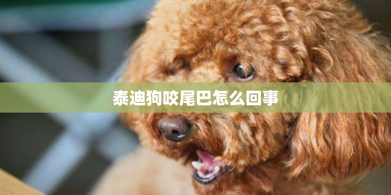 林下种植魔芋怎么管理可以高产? 林下种植魔芋怎么管理可以高产?